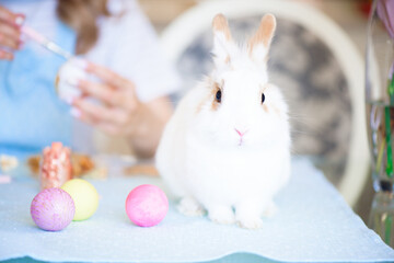 Little Bunny and Decorated Eggs - Easter Card