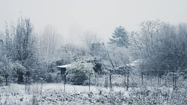 Cinematic color grading over snow falling over rural landscape with small trees and tiny house with large unknown building silhouette in background