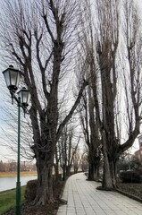 Fototapeta premium beautiful autumn