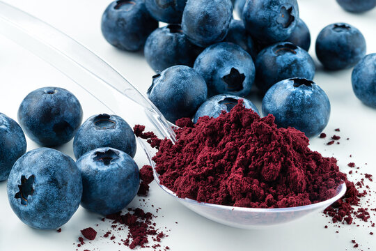 Foto de Antioxidant rich Blueberry Powder made freeze dried super food and  hand picked wild Nordic berry, Healthy and trendy food from nature dry  blueberry powder do Stock | Adobe Stock