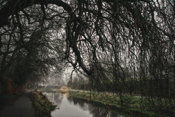 Old Irish Canal Way in Winter