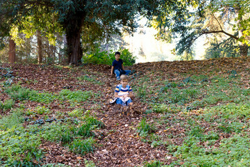 Playful kids sliding among autumn leaves in nature.
