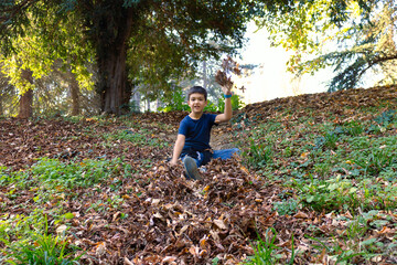 Carefree kid having fun with autumn leaves in the forest.
