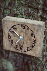 drewniany zegar przybity do drzewa