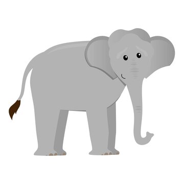 cute cartoon flat elephant from side, vector isolated on white, illustration for children