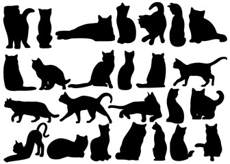 A large set of cats in all poses.