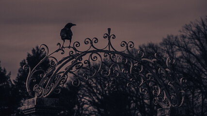 Silhouette of a crow sitting on an ornate gate at Lyndhurst Manor