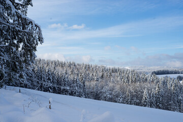 Schwarzwald Winter Waldstück mit Schnee 
