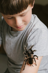 large tarantula on child's arm. scary spider crawls over a boy.
