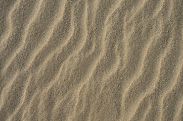 Fototapeta na wymiar The texture of a sandy surface with natural waves formed by the winds.