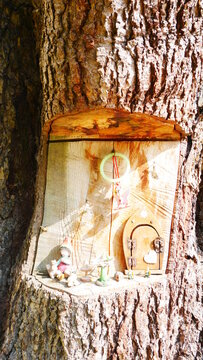 Carved woodcraft in natural tree