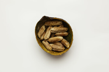 avocado seeds on a white background