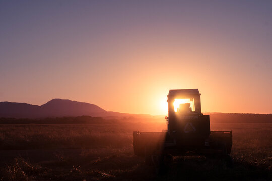 the sunset windrower