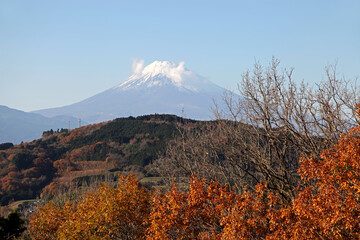 Fototapeta premium View of wooded hills with Mount Fuji on the road between Atami and Mishima Cities. 
