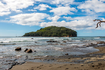 Fototapeta na wymiar Goat Island Marine Reserve, New Zealand