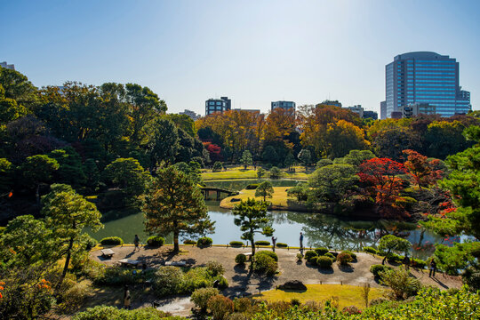 六義園(額縁付き) 六義園 Images – Browse 1,959 Stock Photos, Vectors, and Video