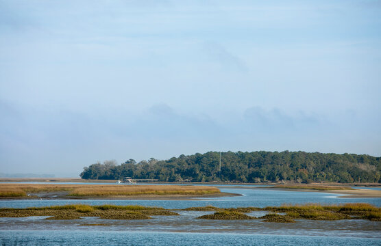 Oyster beds are exposed during low tide in Palmetto Bluff, South Carolina