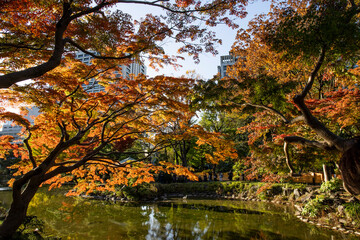 秋の日比谷公園