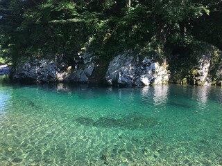世界遺産・白神山地。真夏の美しい川