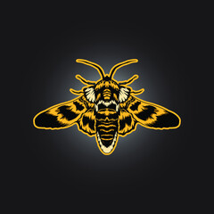 illustartion of beetle vector design