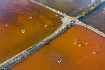 Aerial view of salt evaporation ponds with birds in Aveiro, Portugal
