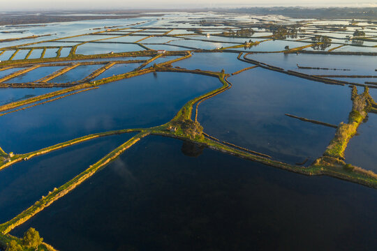 Aerial view of fish ponds and of salt evaporation ponds in Aveiro, Portugal