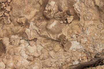 Iran desert landscape