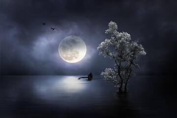 Fototapeta na wymiar moon in the night