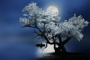 tree in the night