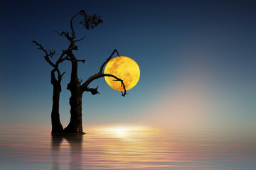 moon and tree on the beach