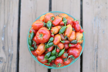 There's adventure in the garden's bounty