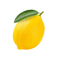 Close up Lemon fruit with leaves isolated on white background.