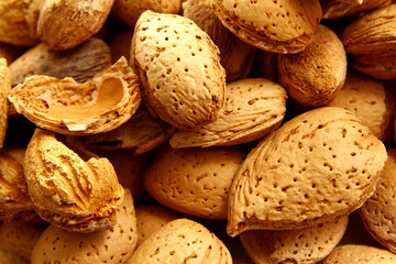 Shell raw almonds are delicious and healthy for snacking