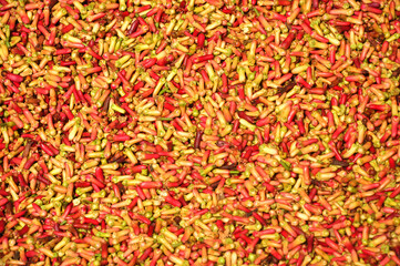 Colorful cloves flower background