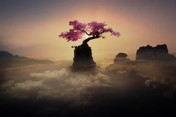 Ingelijste posters geweldige boom op de rots bij zonsondergang © iD's