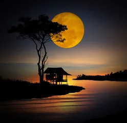 Fotobehang little hut by the ocean under the moon © iD's