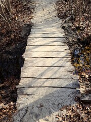 Old path