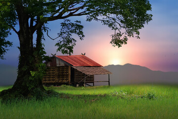 house on the hill