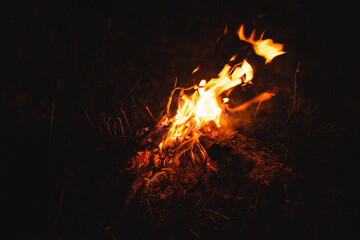 Camping tents and bonfires in the night and the stars