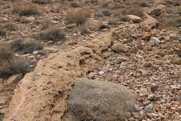 landscape in the desert