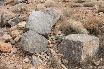 desert landscpae