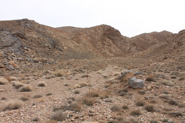 desert landscape