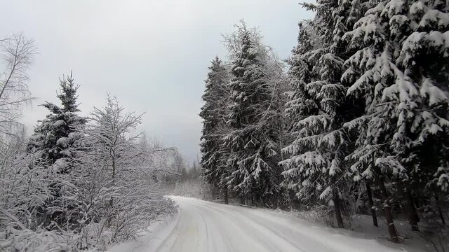 POV trip by off-road car through the winter forest - a look back. Beautiful landscape of snowy forest in winter. Travel by car in winter