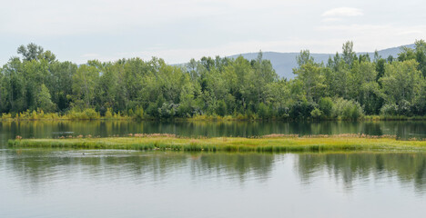 A grassy island in a pond or river. Shrub and green trees on the shore. Background - mountains, sky. Summer landscape concept.