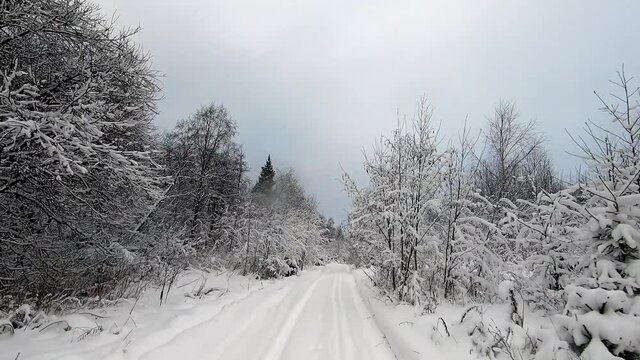 POV trip by off-road car through the winter forest. Beautiful landscape of snowy forest in winter. Travel by car in winter
