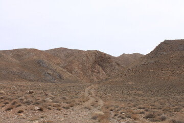 desert landscape