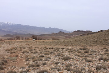 desert landscape