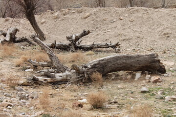 Iran, Desert Nature