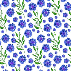 Fototapeta premium Floral seamless pattern with blue field flowers. Botanical wallpaper. Floral cornflower