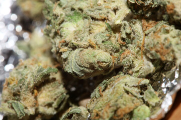 Medical marihuana super lemon kush close up modern background high quality prints